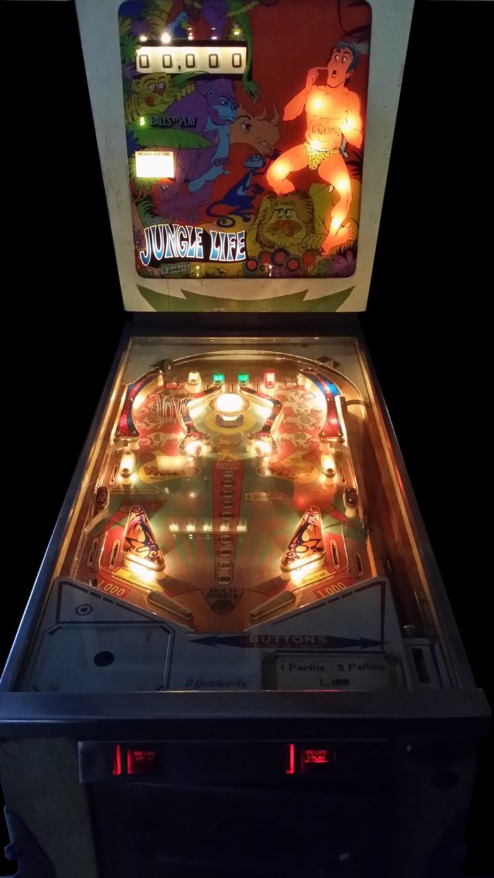 Flipper - Jungle Life