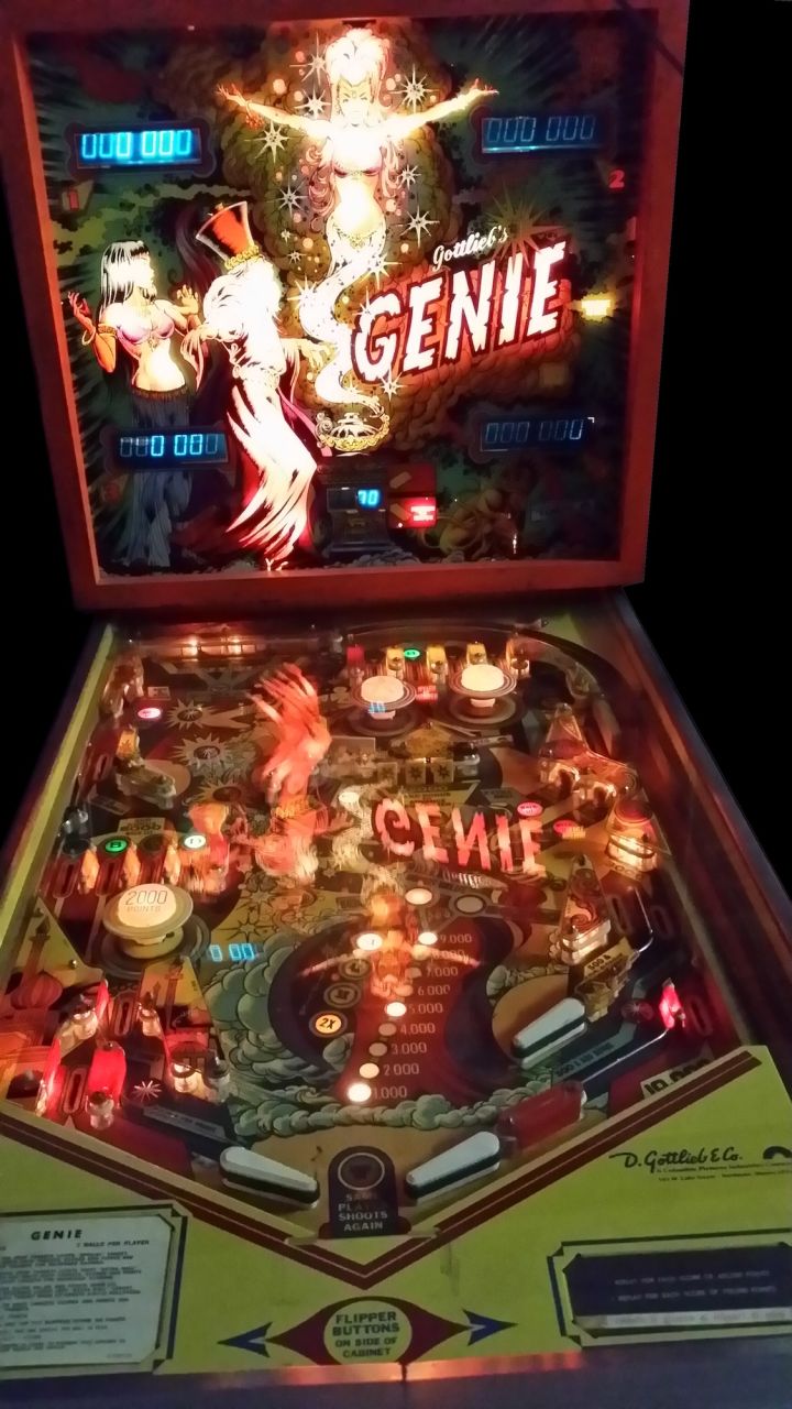 Flipper - Genie Gottlieb